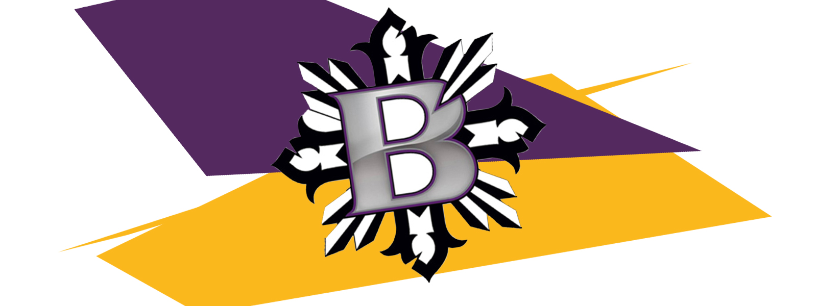 Bishop Rotary- Nadeln und Maschinen