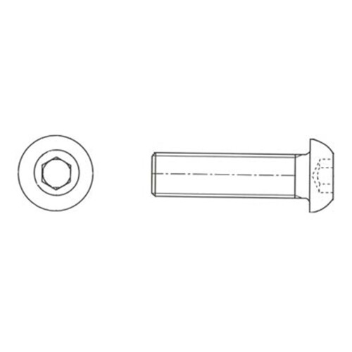 Roestvrijstalen schroeven - lenskop met binnenzeskant M4 - 16 mm lang