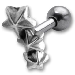 Auricle stud