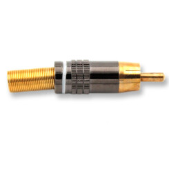 Cinchstecker - Straight - Gold/Black