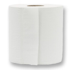 CONPROTA - Papieren handdoekrollen 450 vel - 19 x 25 cm - 2-laags wit - 1 stuk