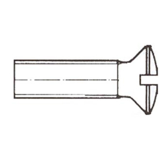 Pan-countersunk-screw with slot